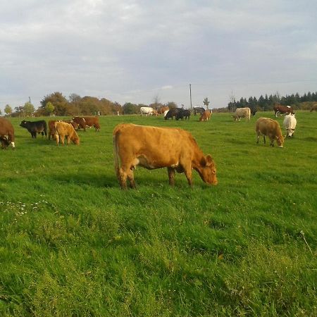Ferienwohnung Scheid Lahr  Kültér fotó